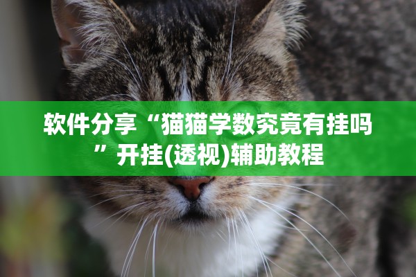 软件分享“猫猫学数究竟有挂吗”开挂(透视)辅助教程