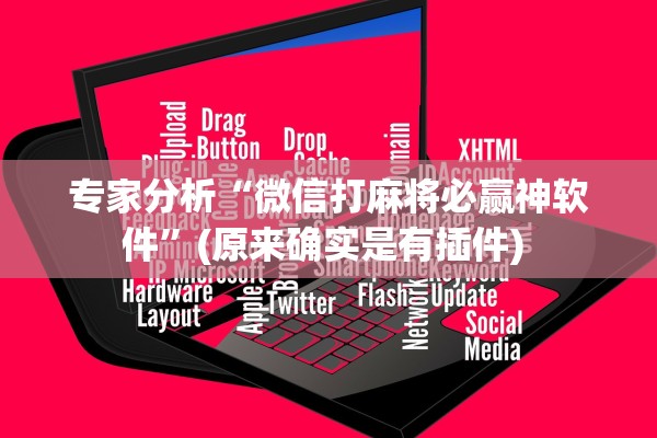 专家分析“微信打麻将必赢神软件”(原来确实是有插件) 