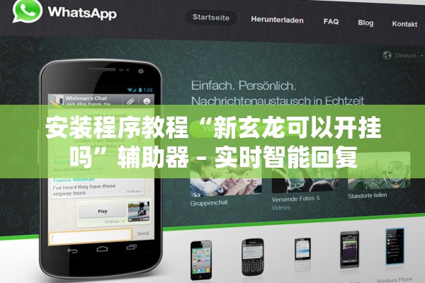 安装程序教程“新玄龙可以开挂吗”辅助器 – 实时智能回复