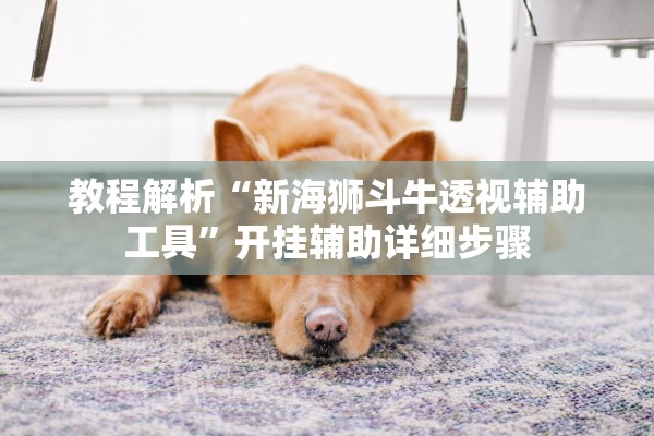 教程解析“新海狮斗牛透视辅助工具”开挂辅助详细步骤