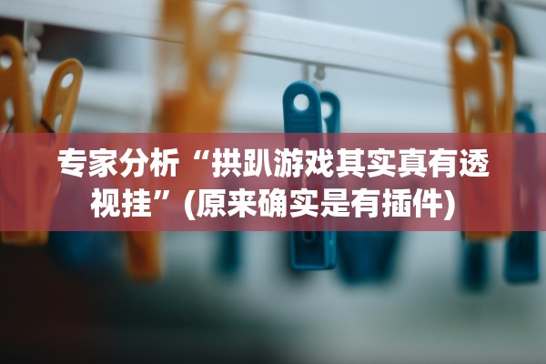 专家分析“拱趴游戏其实真有透视挂	”(原来确实是有插件)