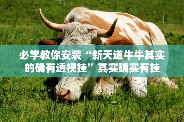 必学教你安装“新天道牛牛其实的确有透视挂”其实确实有挂
