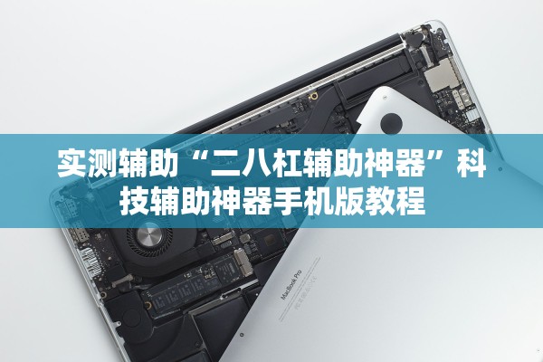 实测辅助“二八杠辅助神器	”科技辅助神器手机版教程