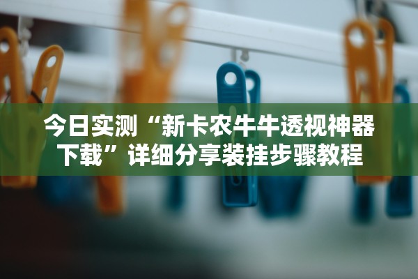 今日实测“新卡农牛牛透视神器下载	”详细分享装挂步骤教程