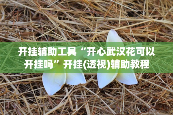 开挂辅助工具“开心武汉花可以开挂吗”开挂(透视)辅助教程