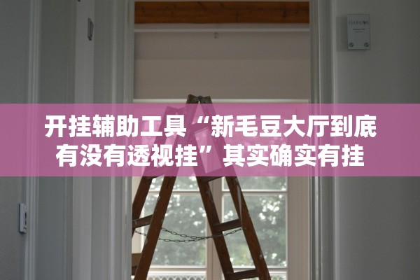 开挂辅助工具“新毛豆大厅到底有没有透视挂”其实确实有挂