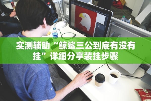 实测辅助“鲸鲨三公到底有没有挂”详细分享装挂步骤