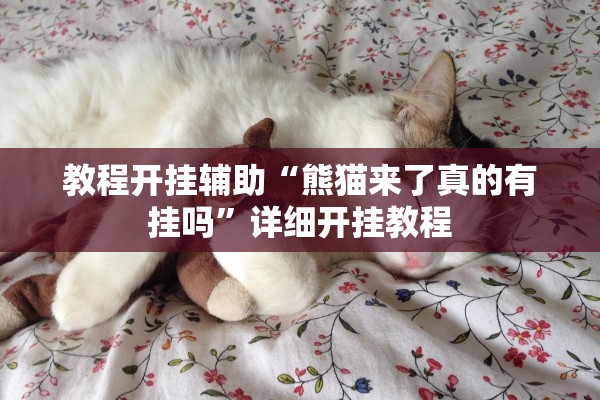 教程开挂辅助“熊猫来了真的有挂吗	”详细开挂教程