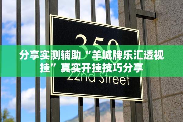分享实测辅助“羊城牌乐汇透视挂”真实开挂技巧分享