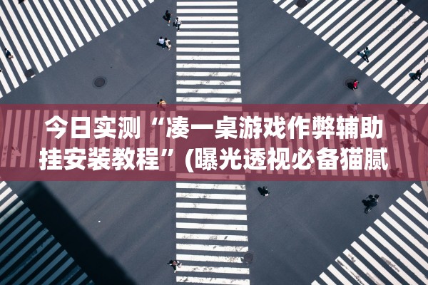 今日实测“凑一桌游戏作弊辅助挂安装教程”(曝光透视必备猫腻)