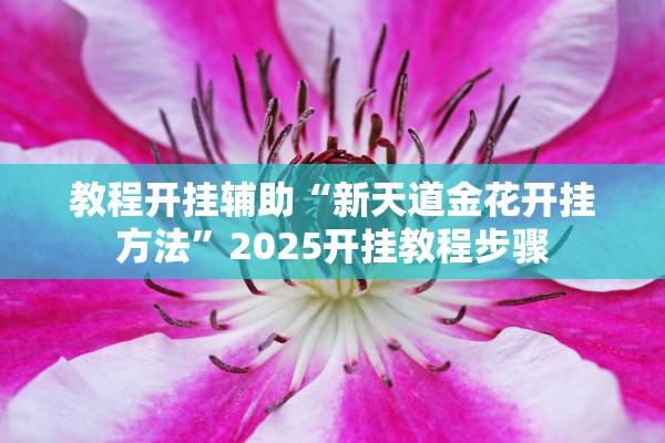 教程开挂辅助“新天道金花开挂方法”2025开挂教程步骤