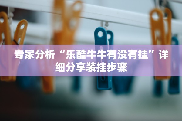 专家分析“乐酷牛牛有没有挂”详细分享装挂步骤