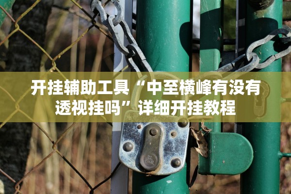 开挂辅助工具“中至横峰有没有透视挂吗	”详细开挂教程