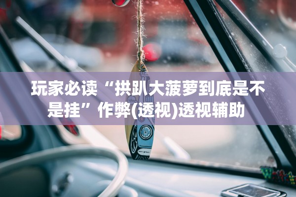 玩家必读“拱趴大菠萝到底是不是挂”作弊(透视)透视辅助 