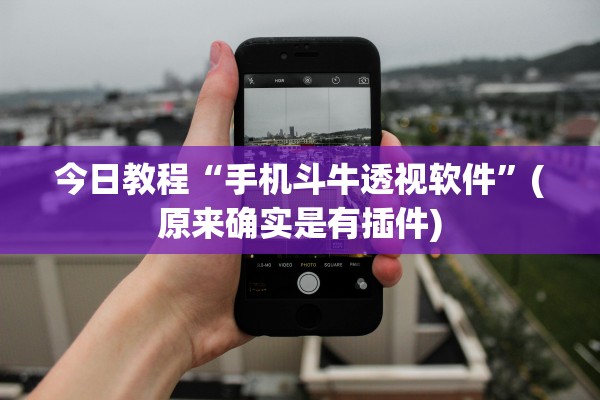今日教程“手机斗牛透视软件”(原来确实是有插件)
