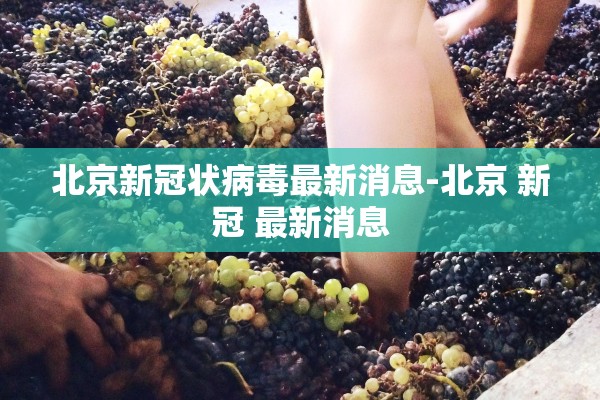 北京新冠状病毒最新消息-北京 新冠 最新消息