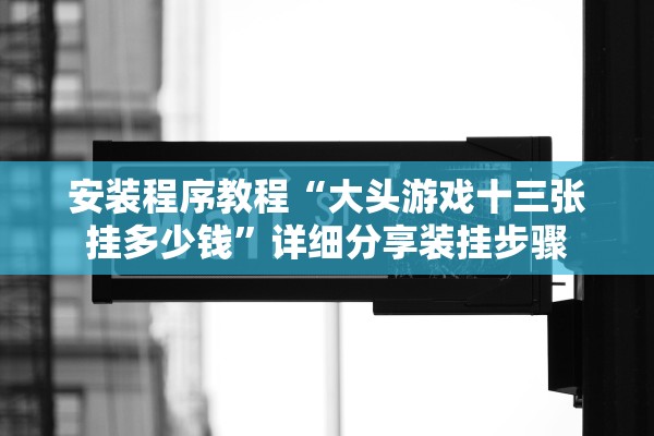 安装程序教程“大头游戏十三张挂多少钱”详细分享装挂步骤