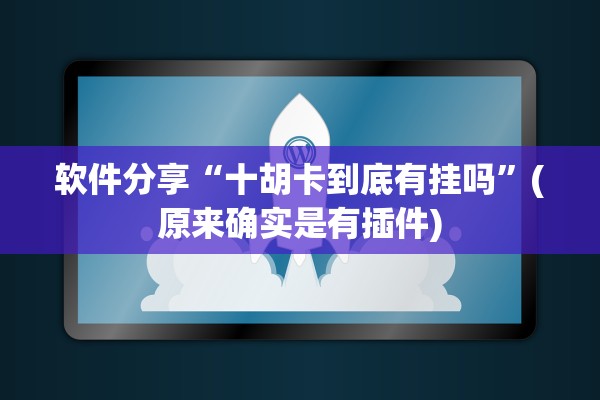 软件分享“十胡卡到底有挂吗”(原来确实是有插件)