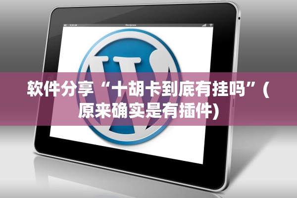 软件分享“十胡卡到底有挂吗”(原来确实是有插件)