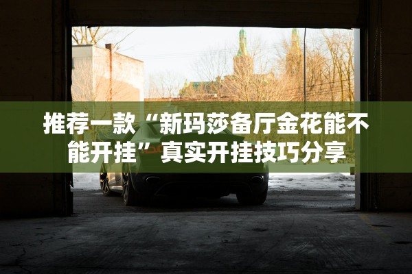 推荐一款“新玛莎备厅金花能不能开挂”真实开挂技巧分享