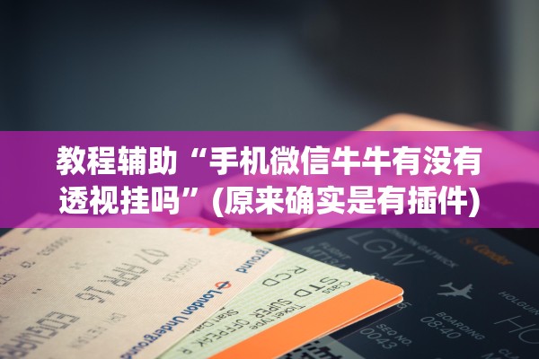 教程辅助“手机微信牛牛有没有透视挂吗”(原来确实是有插件)