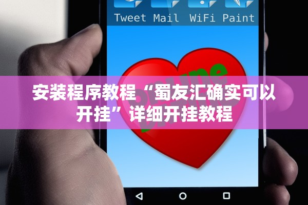 安装程序教程“蜀友汇确实可以开挂	”详细开挂教程