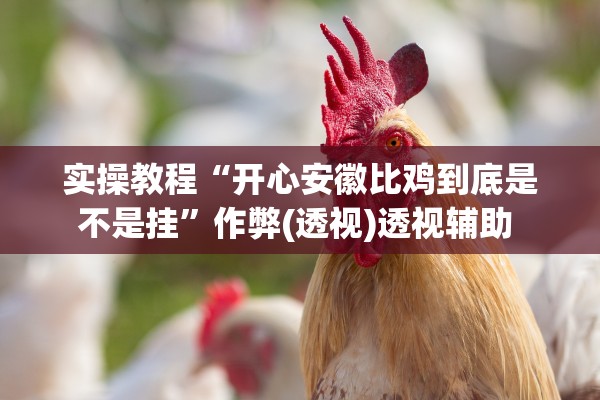 实操教程“开心安徽比鸡到底是不是挂”作弊(透视)透视辅助 