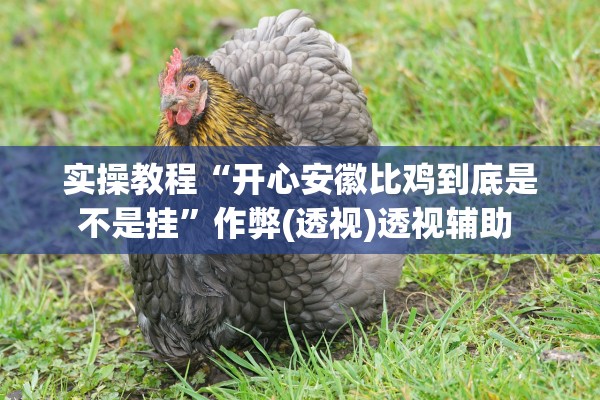 实操教程“开心安徽比鸡到底是不是挂”作弊(透视)透视辅助 