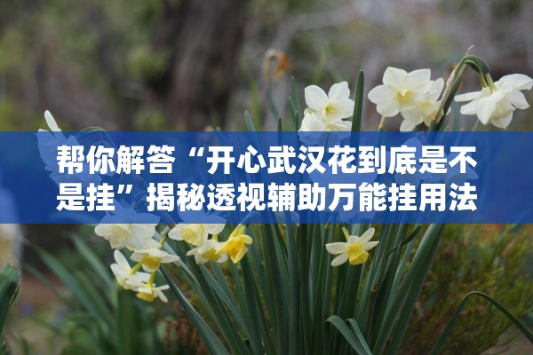 帮你解答“开心武汉花到底是不是挂”揭秘透视辅助万能挂用法