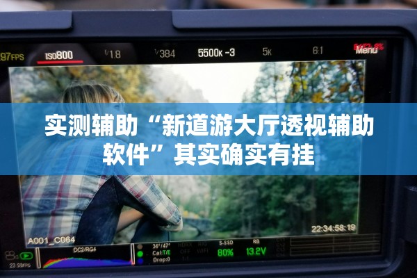 实测辅助“新道游大厅透视辅助软件”其实确实有挂