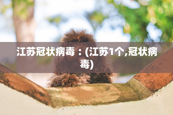 江苏冠状病毒︰(江苏1个,冠状病毒)