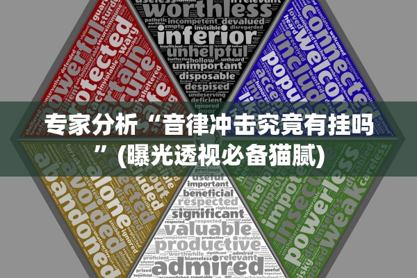 专家分析“音律冲击究竟有挂吗”(曝光透视必备猫腻)