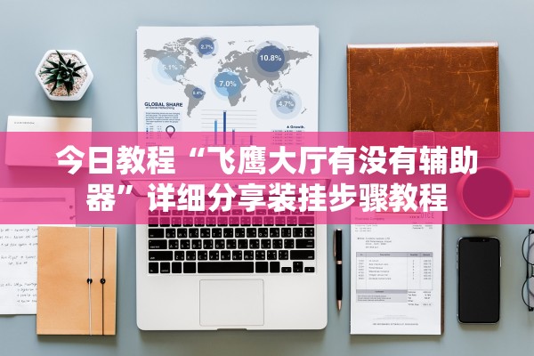 今日教程“飞鹰大厅有没有辅助器”详细分享装挂步骤教程