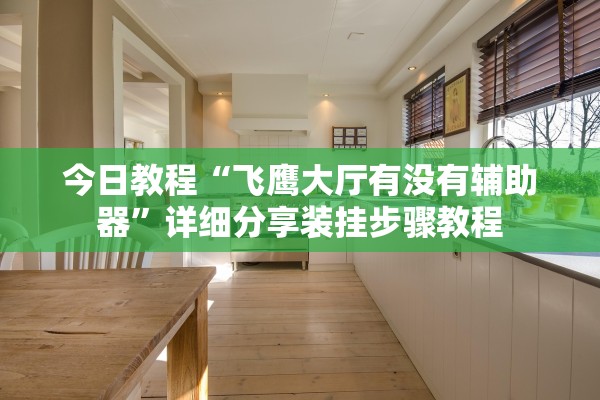 今日教程“飞鹰大厅有没有辅助器”详细分享装挂步骤教程