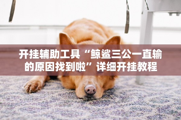 开挂辅助工具“鲸鲨三公一直输的原因找到啦”详细开挂教程