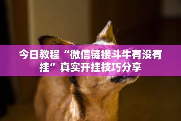 今日教程“微信链接斗牛有没有挂	”真实开挂技巧分享