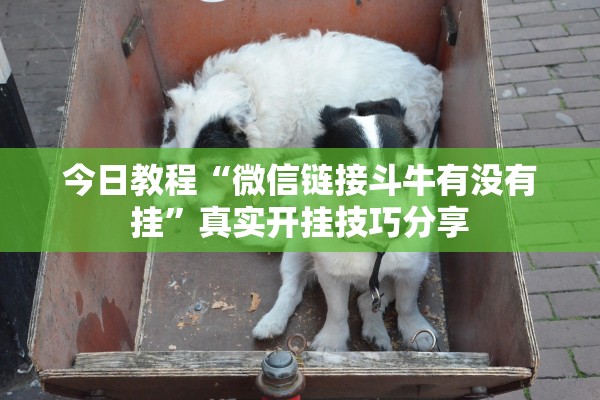 今日教程“微信链接斗牛有没有挂”真实开挂技巧分享