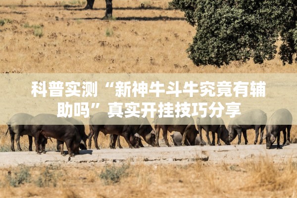 科普实测“新神牛斗牛究竟有辅助吗”真实开挂技巧分享