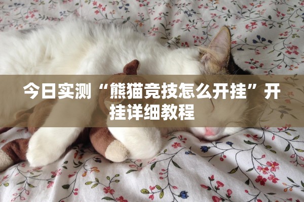 今日实测“熊猫竞技怎么开挂”开挂详细教程