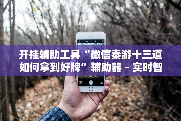 开挂辅助工具“微信秦游十三道如何拿到好牌	”辅助器 – 实时智能回复