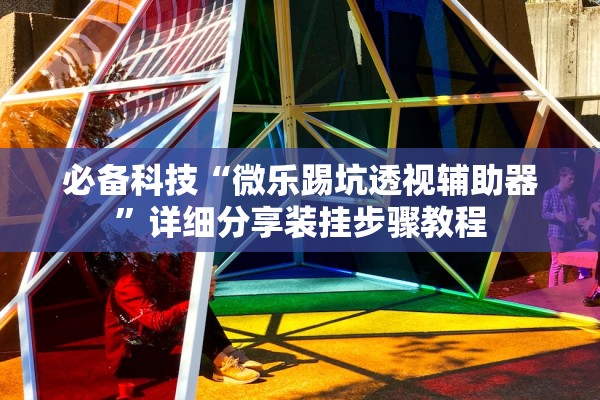 必备科技“微乐踢坑透视辅助器”详细分享装挂步骤教程