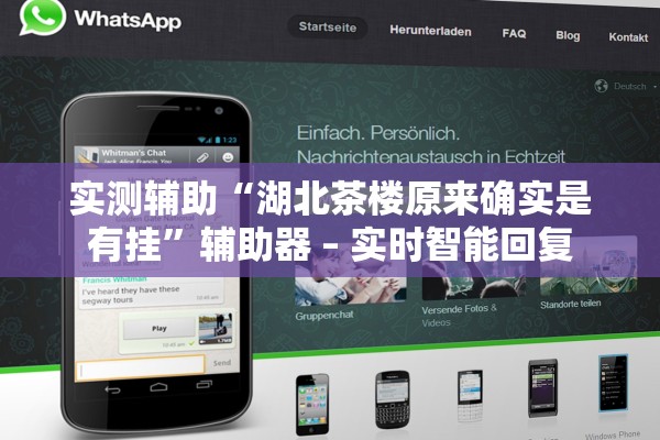 实测辅助“湖北茶楼原来确实是有挂”辅助器 – 实时智能回复