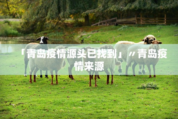 「青岛疫情源头已找到」〃青岛疫情来源