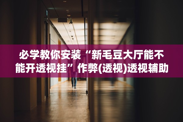 必学教你安装“新毛豆大厅能不能开透视挂	”作弊(透视)透视辅助 