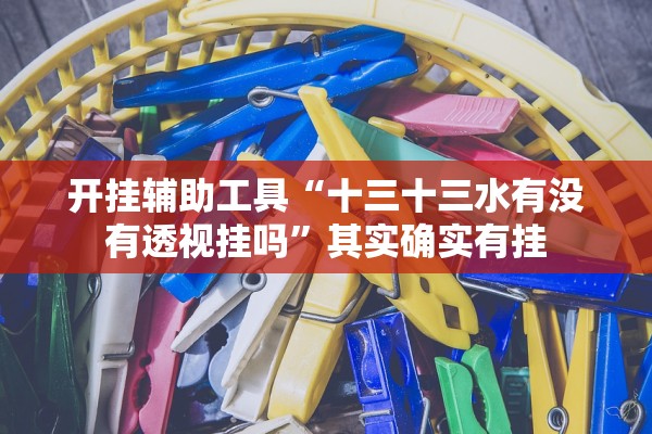 开挂辅助工具“十三十三水有没有透视挂吗”其实确实有挂