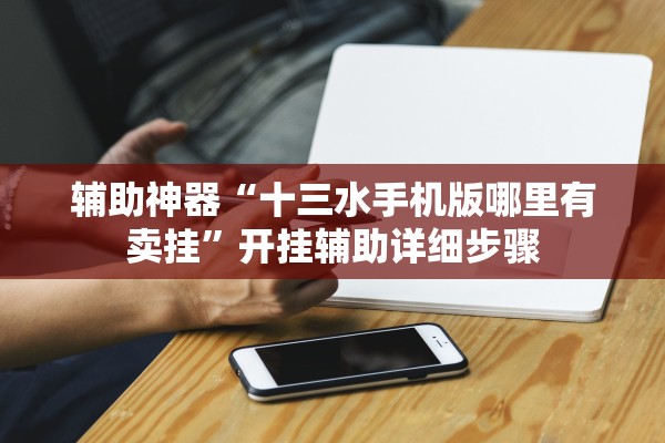 辅助神器“十三水手机版哪里有卖挂”开挂辅助详细步骤