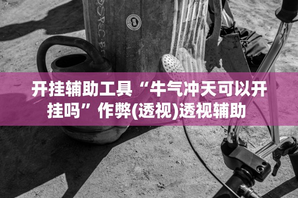 开挂辅助工具“牛气冲天可以开挂吗”作弊(透视)透视辅助 