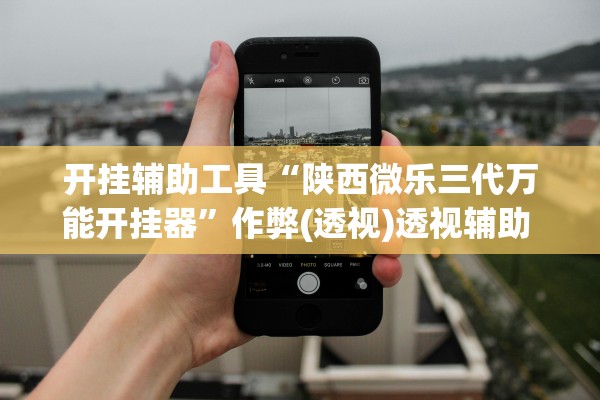 开挂辅助工具“陕西微乐三代万能开挂器”作弊(透视)透视辅助 