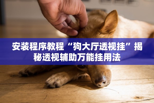 安装程序教程“狗大厅透视挂	”揭秘透视辅助万能挂用法