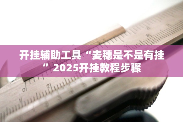 开挂辅助工具“麦穗是不是有挂”2025开挂教程步骤
